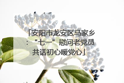 安阳市龙安区马家乡：“七一”慰问老党员 共话初心暖党心