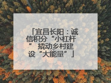 宜昌长阳：诚信积分“小杠杆” 撬动乡村建设“大能量”
