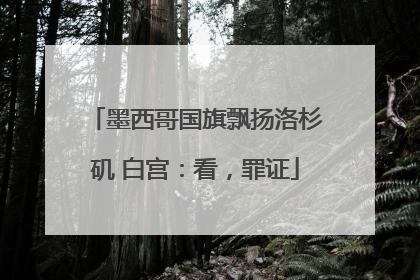 墨西哥国旗飘扬洛杉矶 白宫：看，罪证