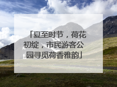 夏至时节，荷花初绽，市民游客公园寻觅荷香雅韵