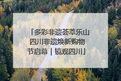多彩非遗荟萃乐山 四川非遗焕新购物节启幕｜镜观四川