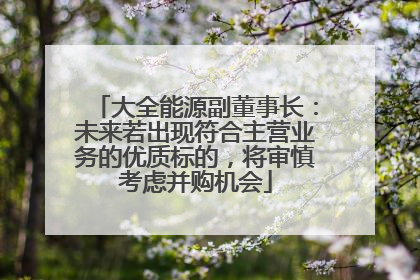 大全能源副董事长：未来若出现符合主营业务的优质标的，将审慎考虑并购机会