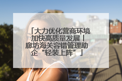 大力优化营商环境 加快高质量发展丨廊坊海关容错管理助企“轻装上阵”