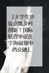 大学生毕设点燃乡村创新！国际联合毕设在宁海展现中西交融