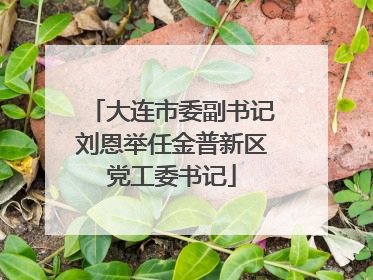 大连市委副书记刘恩举任金普新区党工委书记