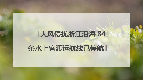 大风侵扰浙江沿海 84条水上客渡运航线已停航