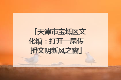 天津市宝坻区文化馆：打开一扇传播文明新风之窗