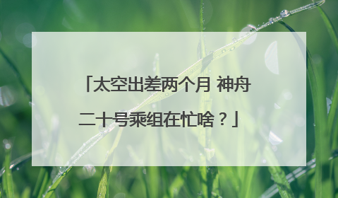 太空出差两个月 神舟二十号乘组在忙啥？