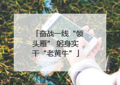 奋战一线“领头雁” 躬身实干“老黄牛”