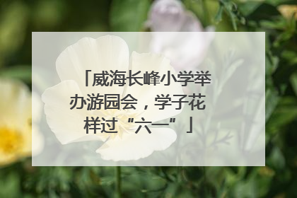 威海长峰小学举办游园会，学子花样过“六一”