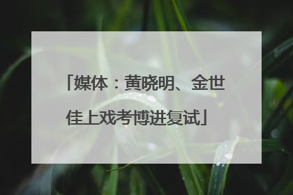 媒体：黄晓明、金世佳上戏考博进复试