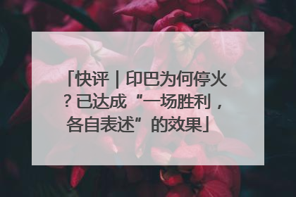 快评｜印巴为何停火？已达成“一场胜利，各自表述”的效果