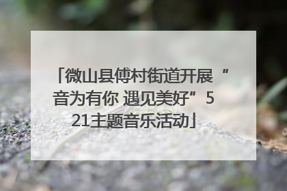 微山县傅村街道开展“音为有你 遇见美好”521主题音乐活动