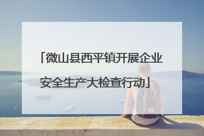 微山县西平镇开展企业安全生产大检查行动