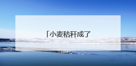 小麦秸秆成了“香饽饽”