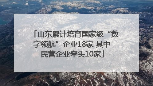 山东累计培育国家级“数字领航”企业18家 其中民营企业牵头10家