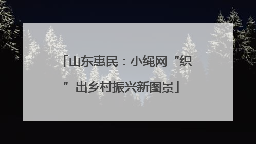 山东惠民：小绳网“织”出乡村振兴新图景