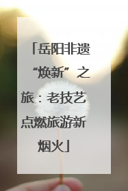 岳阳非遗“焕新”之旅：老技艺点燃旅游新烟火