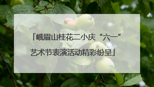 峨眉山桂花二小庆“六一”艺术节表演活动精彩纷呈