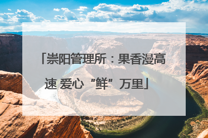 崇阳管理所：果香漫高速 爱心“鲜”万里