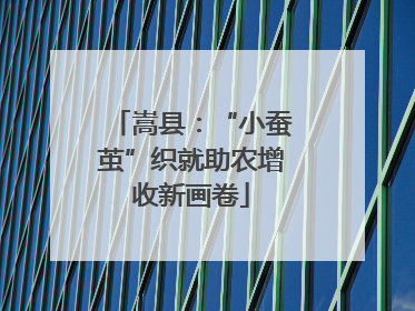 嵩县：“小蚕茧”织就助农增收新画卷