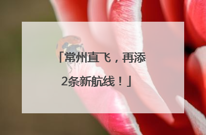 常州直飞，再添2条新航线！