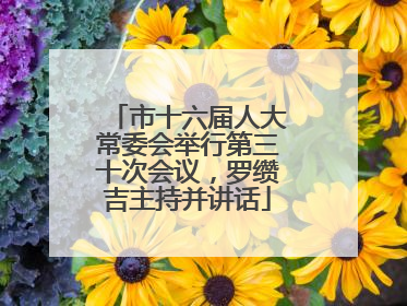 市十六届人大常委会举行第三十次会议，罗缵吉主持并讲话
