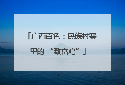 广西百色：民族村寨里的 “致富鸡”