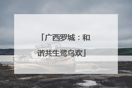 广西罗城：和谐共生鹭鸟欢