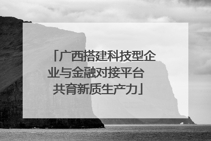 广西搭建科技型企业与金融对接平台 共育新质生产力