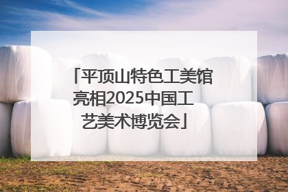 平顶山特色工美馆亮相2025中国工艺美术博览会