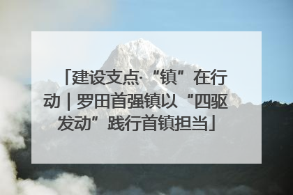 建设支点·“镇”在行动｜罗田首强镇以“四驱发动”践行首镇担当