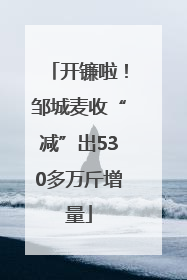 开镰啦！邹城麦收“减”出530多万斤增量