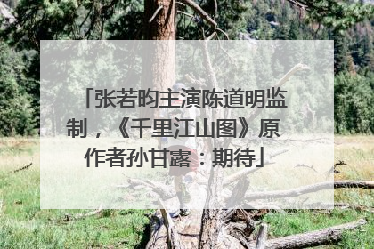 张若昀主演陈道明监制，《千里江山图》原作者孙甘露：期待