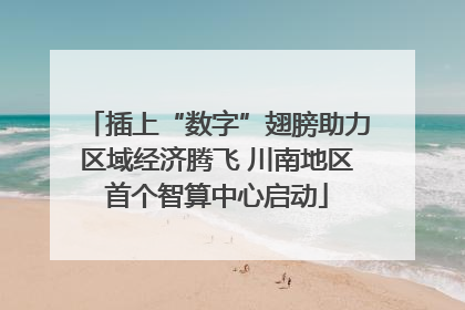 插上“数字”翅膀助力区域经济腾飞 川南地区首个智算中心启动