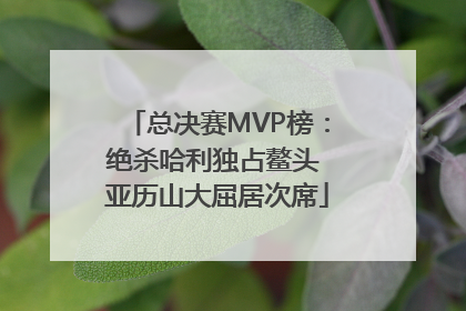 总决赛MVP榜：绝杀哈利独占鳌头 亚历山大屈居次席