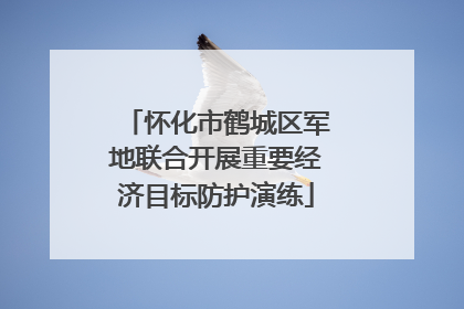 怀化市鹤城区军地联合开展重要经济目标防护演练