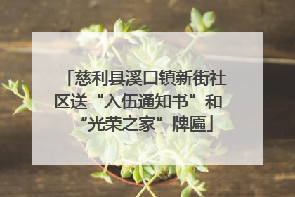 慈利县溪口镇新街社区送“入伍通知书”和“光荣之家”牌匾