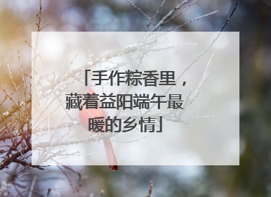 手作粽香里，藏着益阳端午最暖的乡情