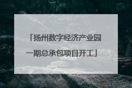 扬州数字经济产业园一期总承包项目开工