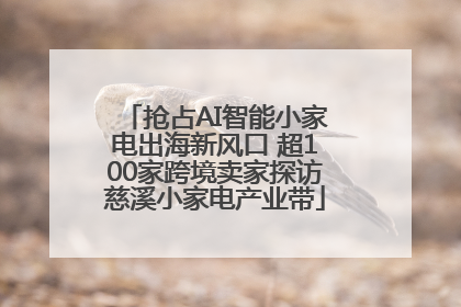 抢占AI智能小家电出海新风口 超100家跨境卖家探访慈溪小家电产业带