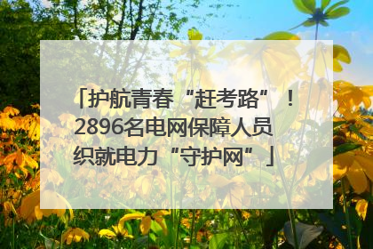 护航青春“赶考路”！2896名电网保障人员织就电力“守护网”