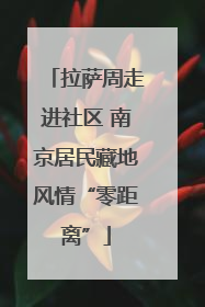 拉萨周走进社区 南京居民藏地风情“零距离”