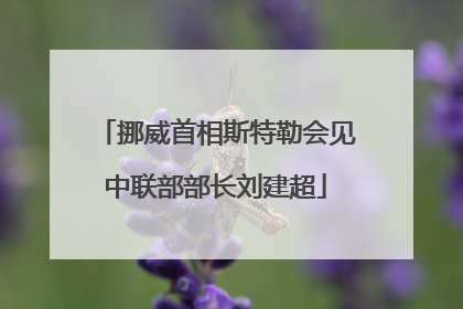 挪威首相斯特勒会见中联部部长刘建超