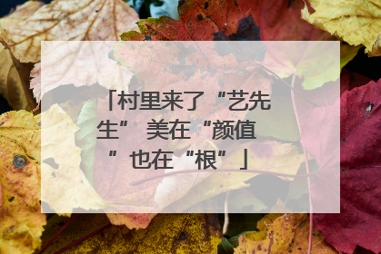 村里来了“艺先生” 美在“颜值”也在“根”