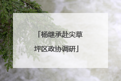 杨继承赴尖草坪区政协调研