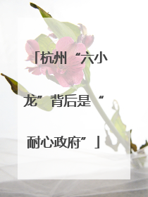 杭州“六小龙”背后是“耐心政府”
