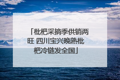 枇杷采摘季供销两旺 四川宝兴晚熟枇杷冷链发全国