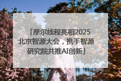 摩尔线程亮相2025北京智源大会，携手智源研究院共推AI创新