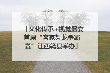 文化传承+视觉盛宴 首届“客家舞龙争霸赛”江西赣县举办